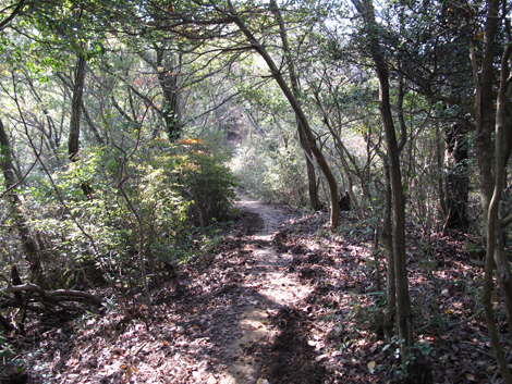 20131116hike (186)